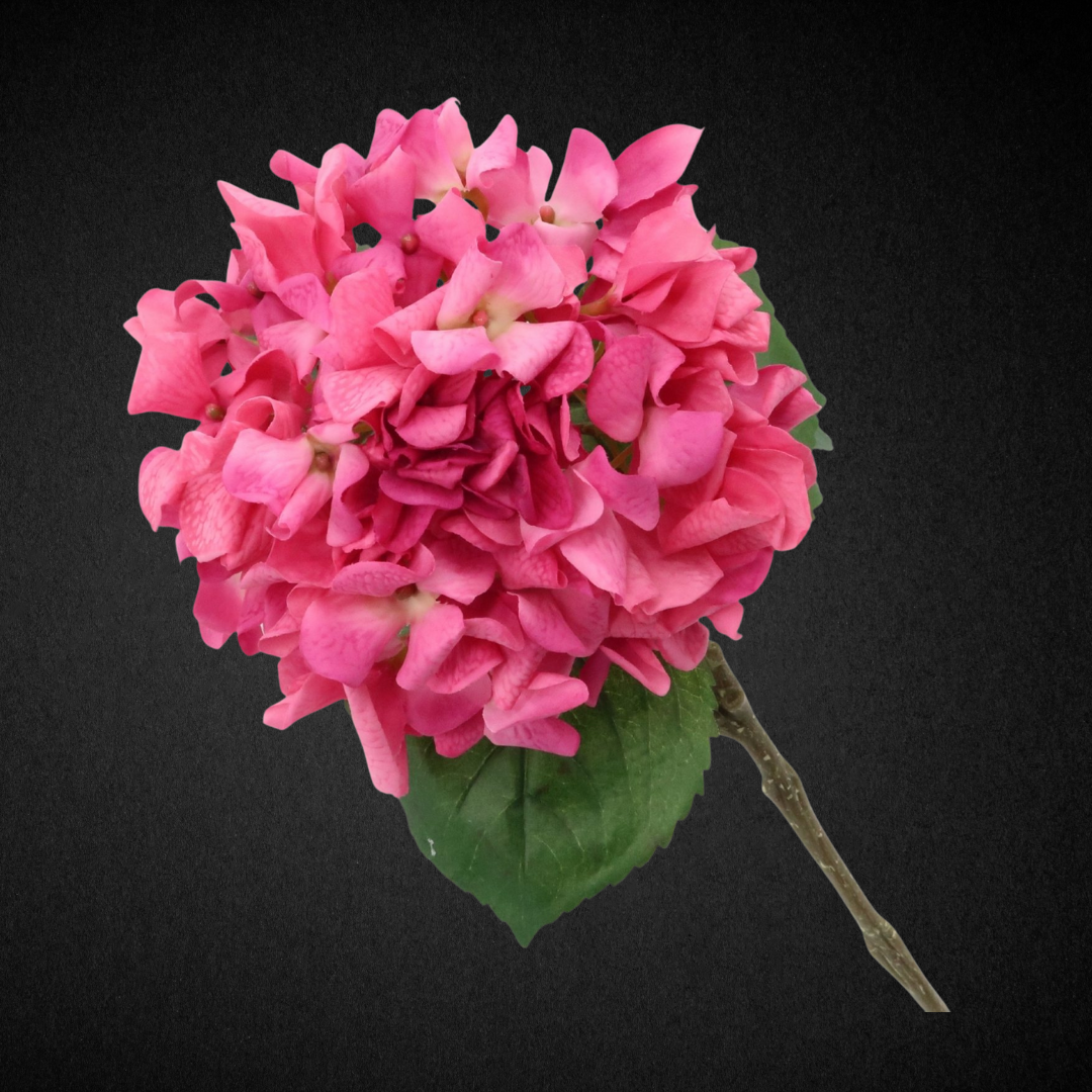 Individual Stems