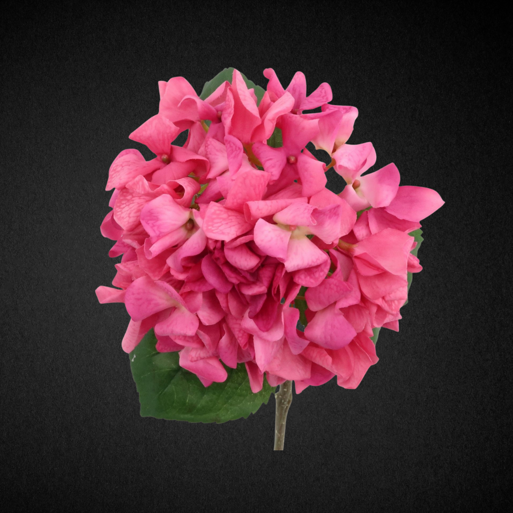 Pink Wilted Hydrangea Real Touch Stem
