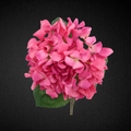 Pink Wilted Hydrangea Real Touch Stem