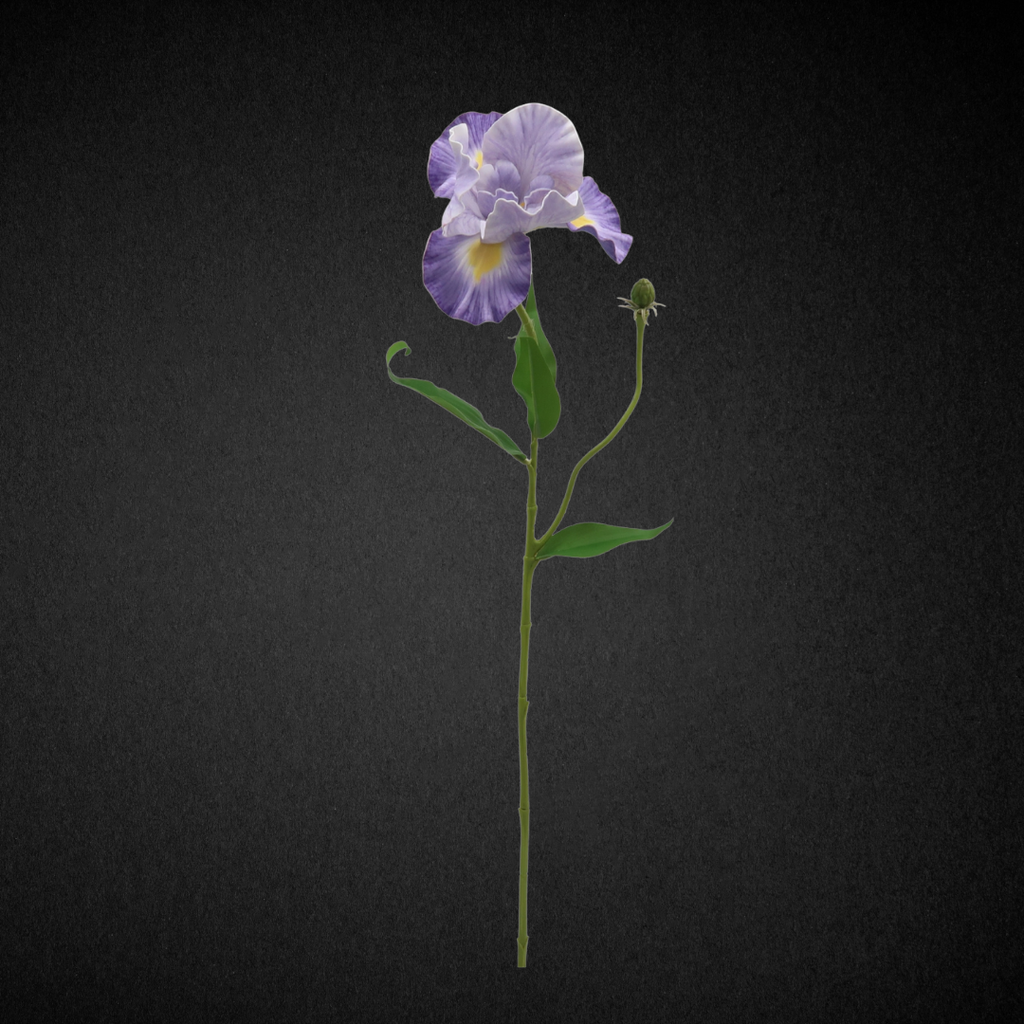 Real Touch Silk Iris