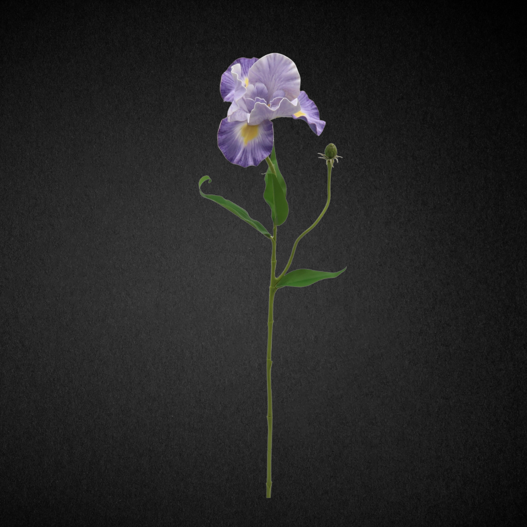 Real Touch Silk Iris