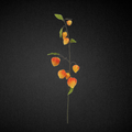 Real Touch Silk Chinese Lantern