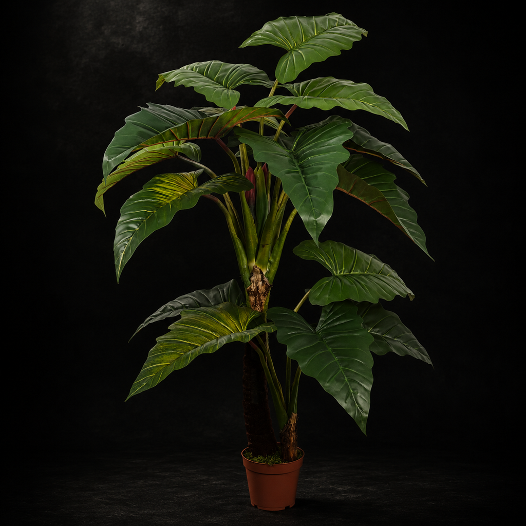 The Tropica Colocasia Tree