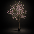 The Blush Cherry Blossom Tree