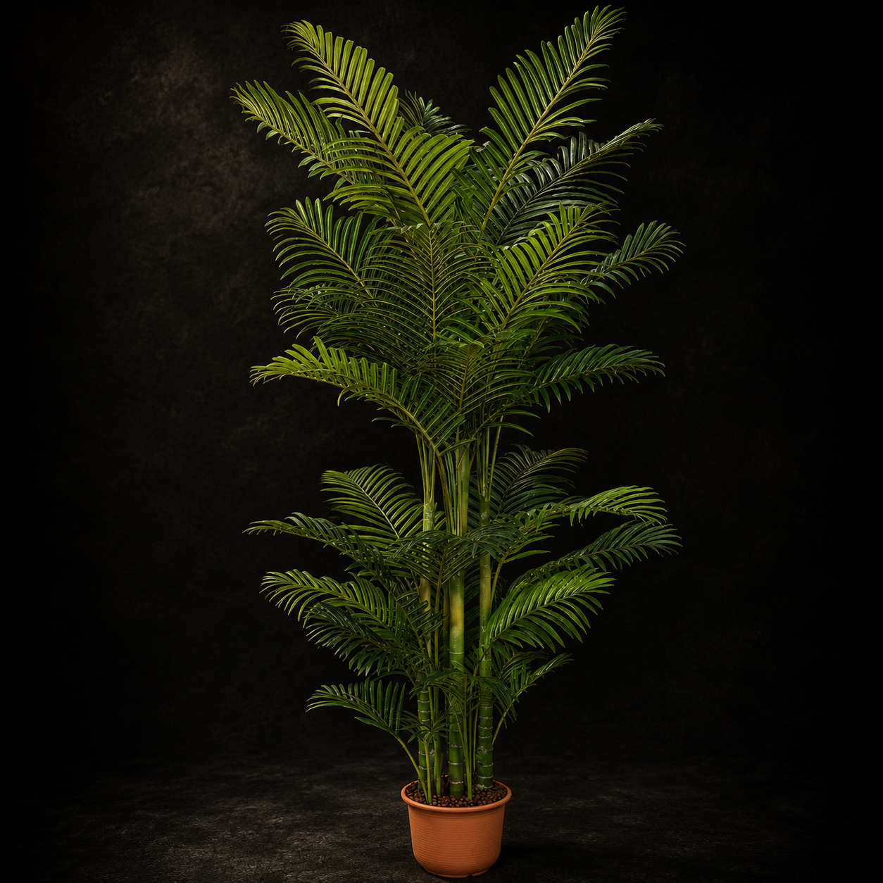 The Pittieri Philodendron Tree