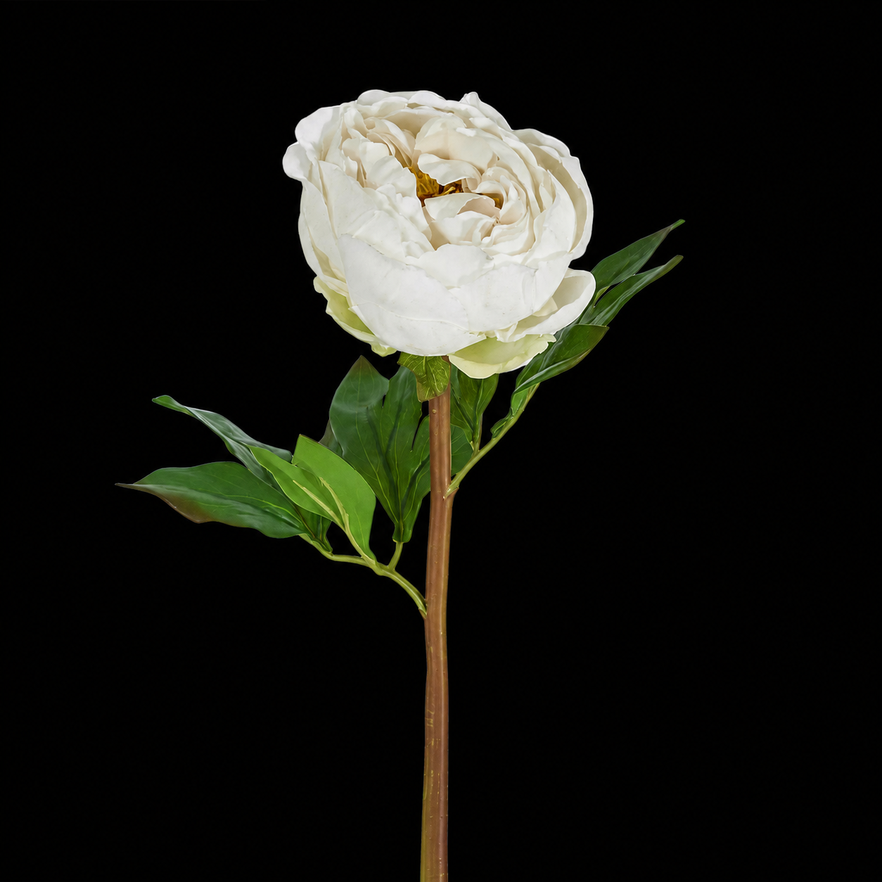 Peony Flower Real Touch Stem
