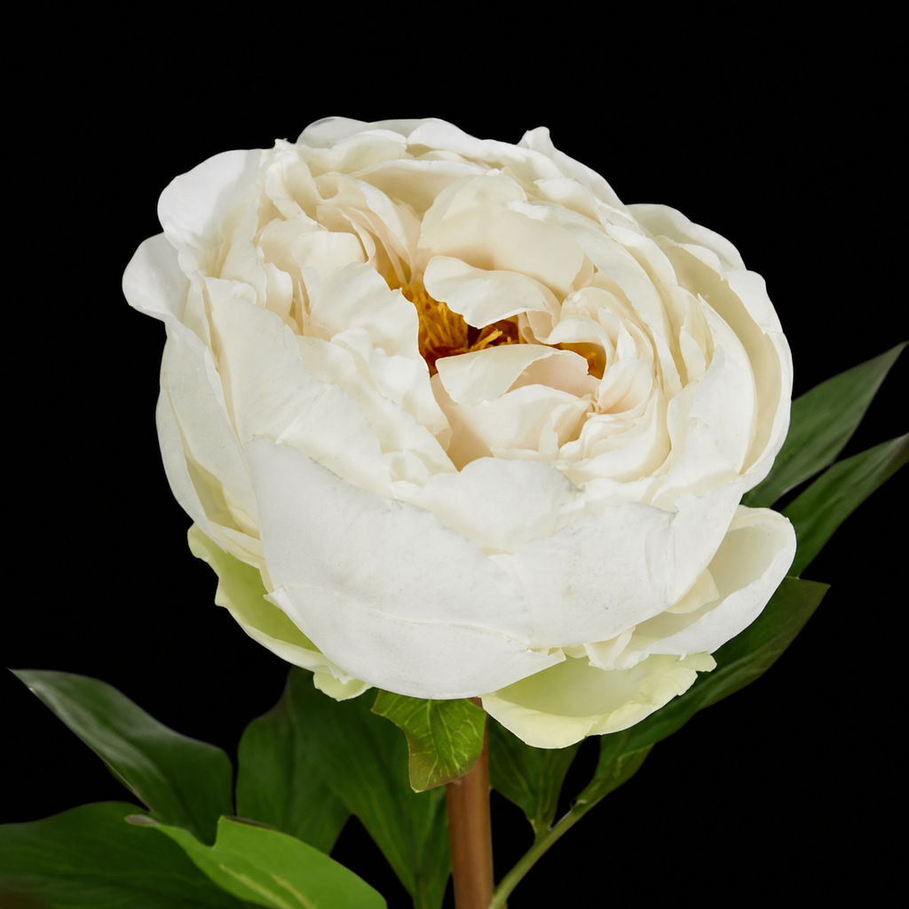 Peony Flower Real Touch Stem