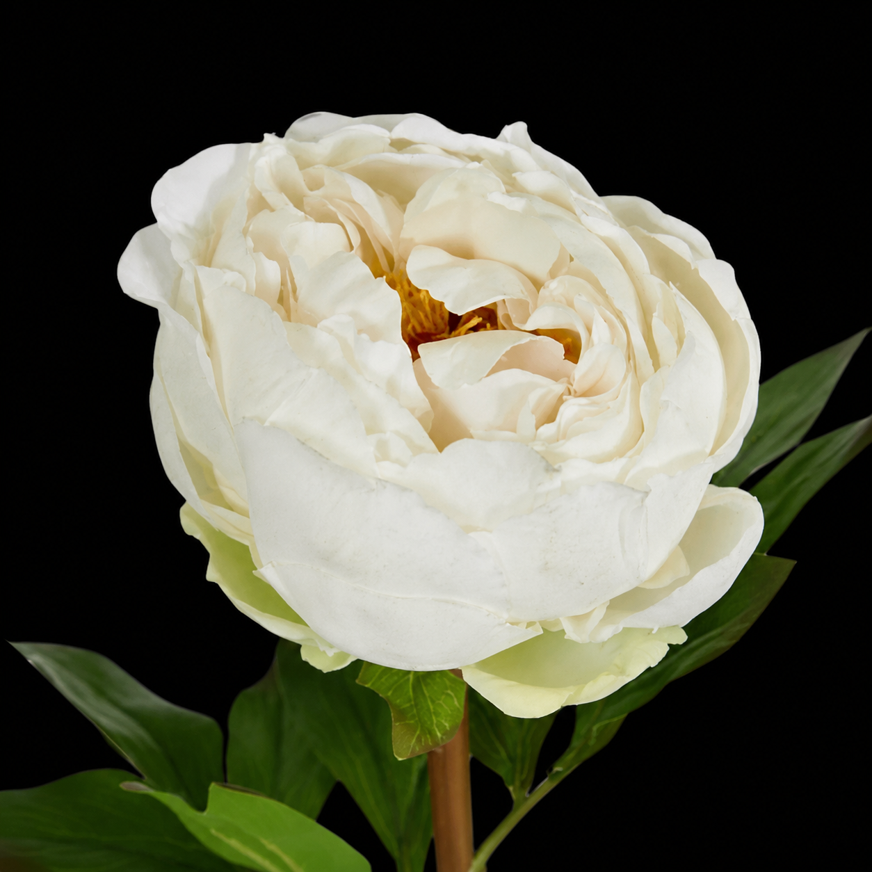 Peony Flower Real Touch Stem