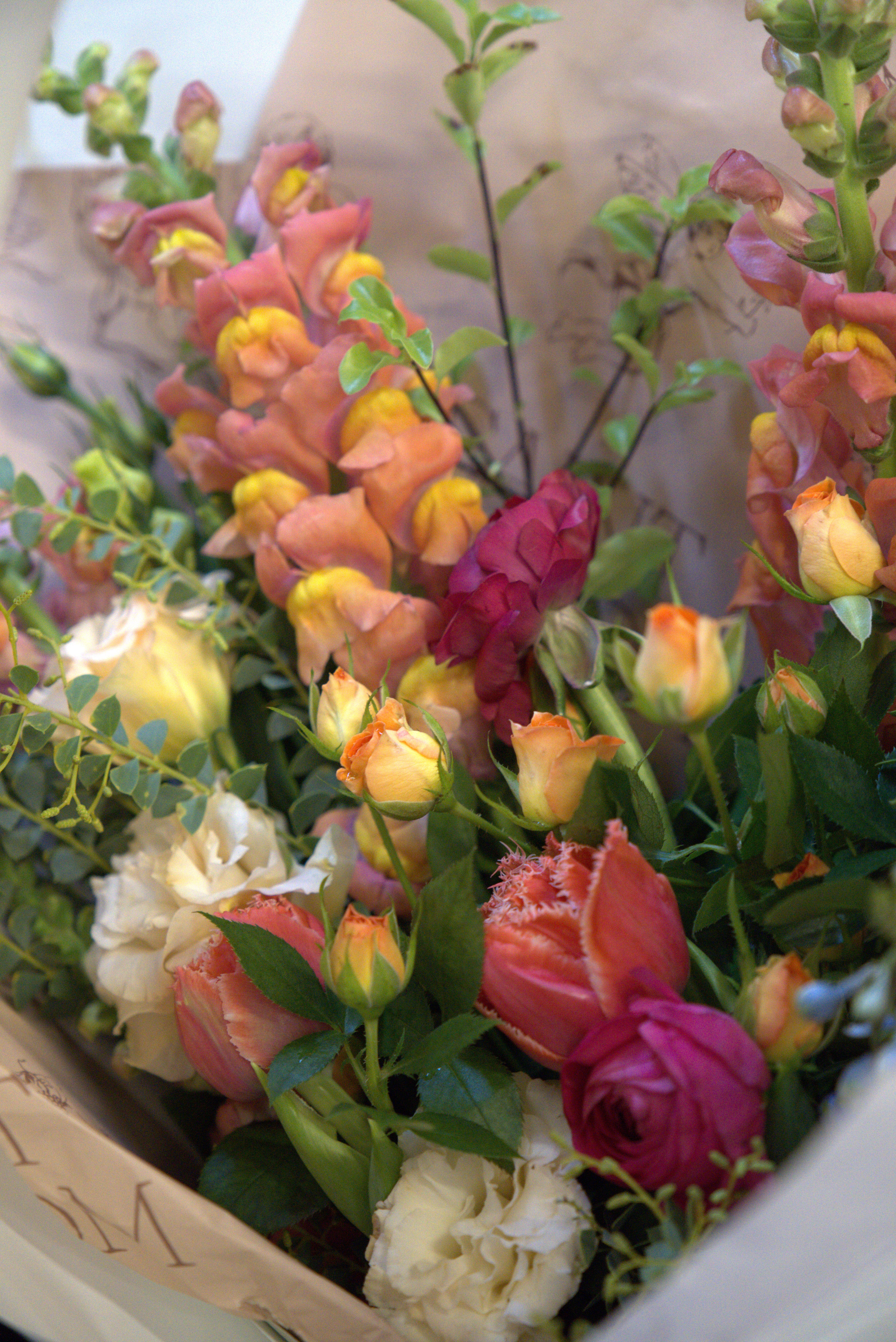 Vivid Bloom