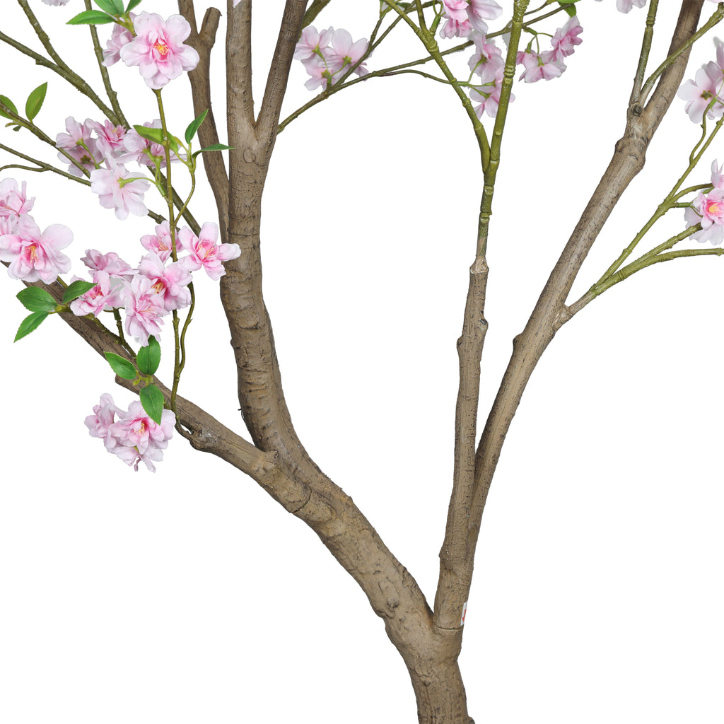 The Blush Cherry Blossom Tree