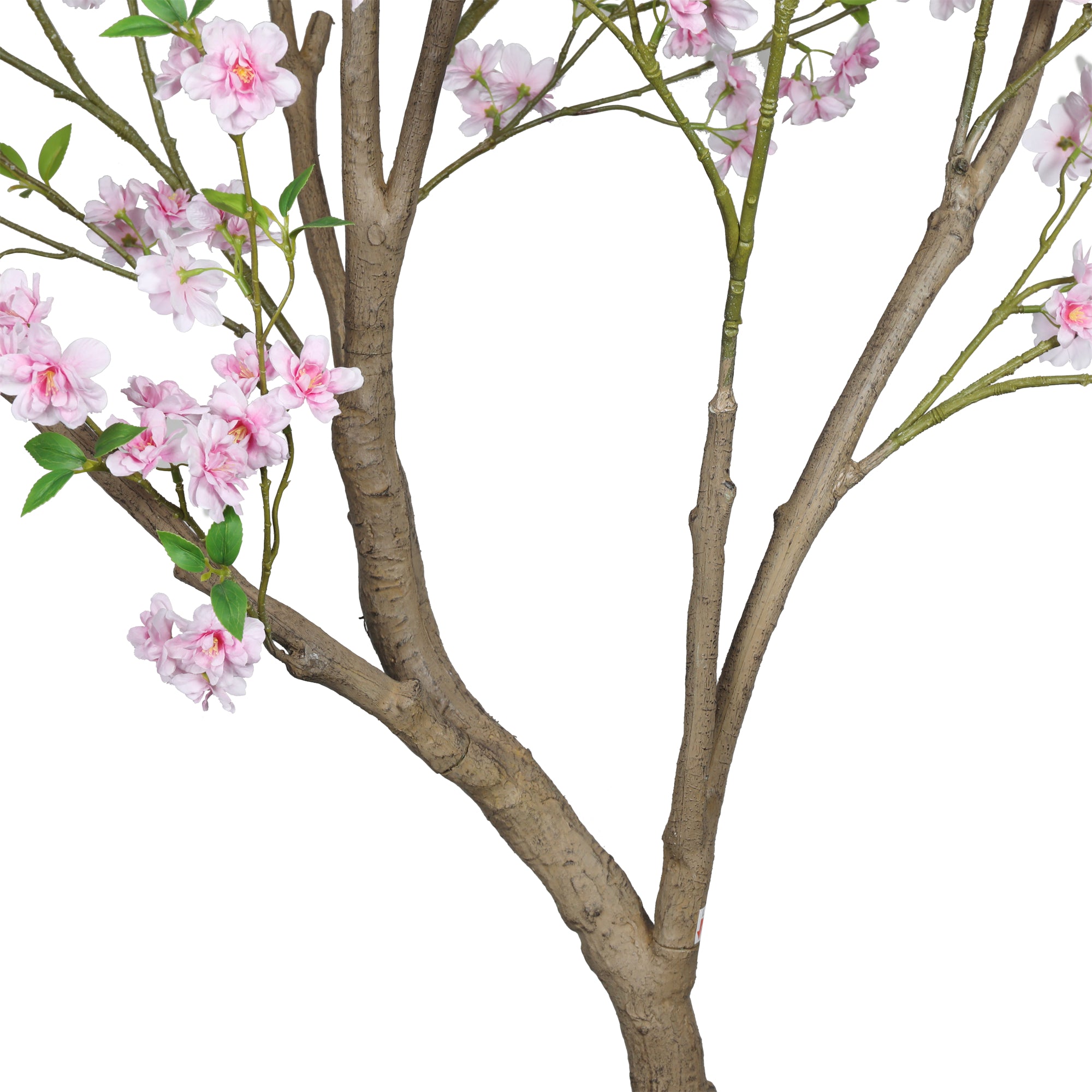 The Blush Cherry Blossom Tree