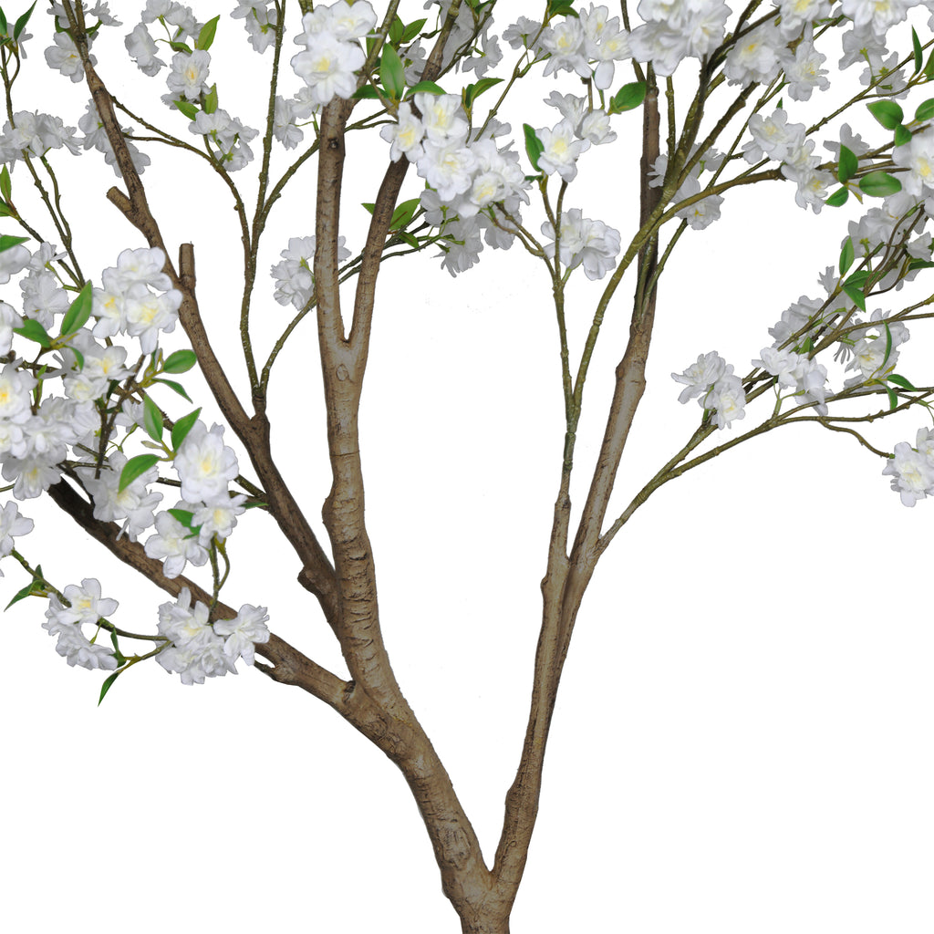 The Ivory Cherry Blossom Tree