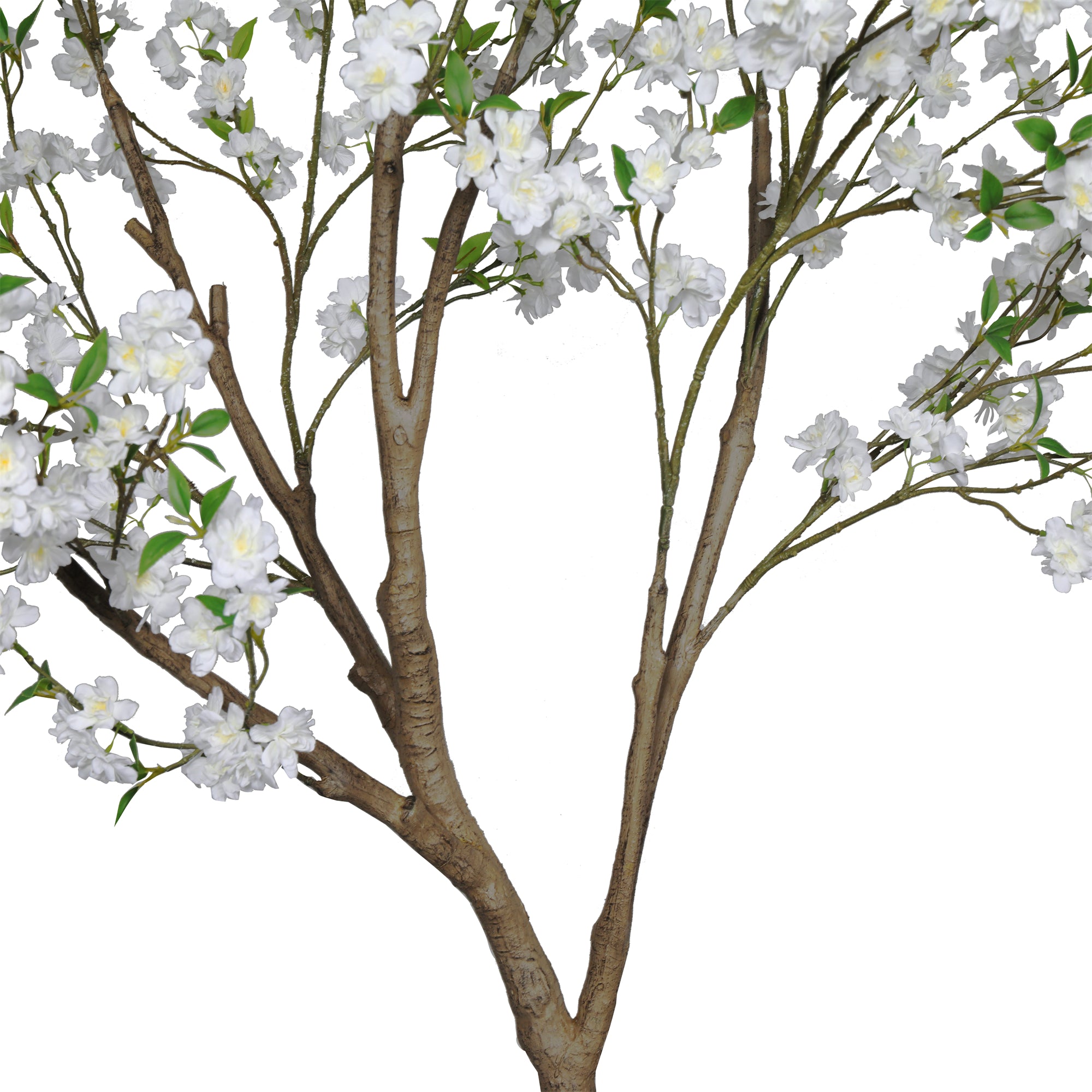 The Ivory Cherry Blossom Tree