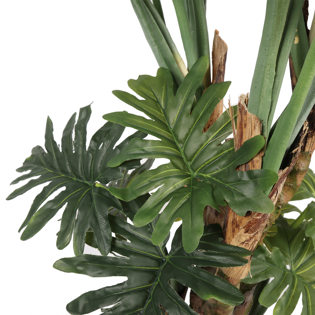 The Maison Philodendron Tree