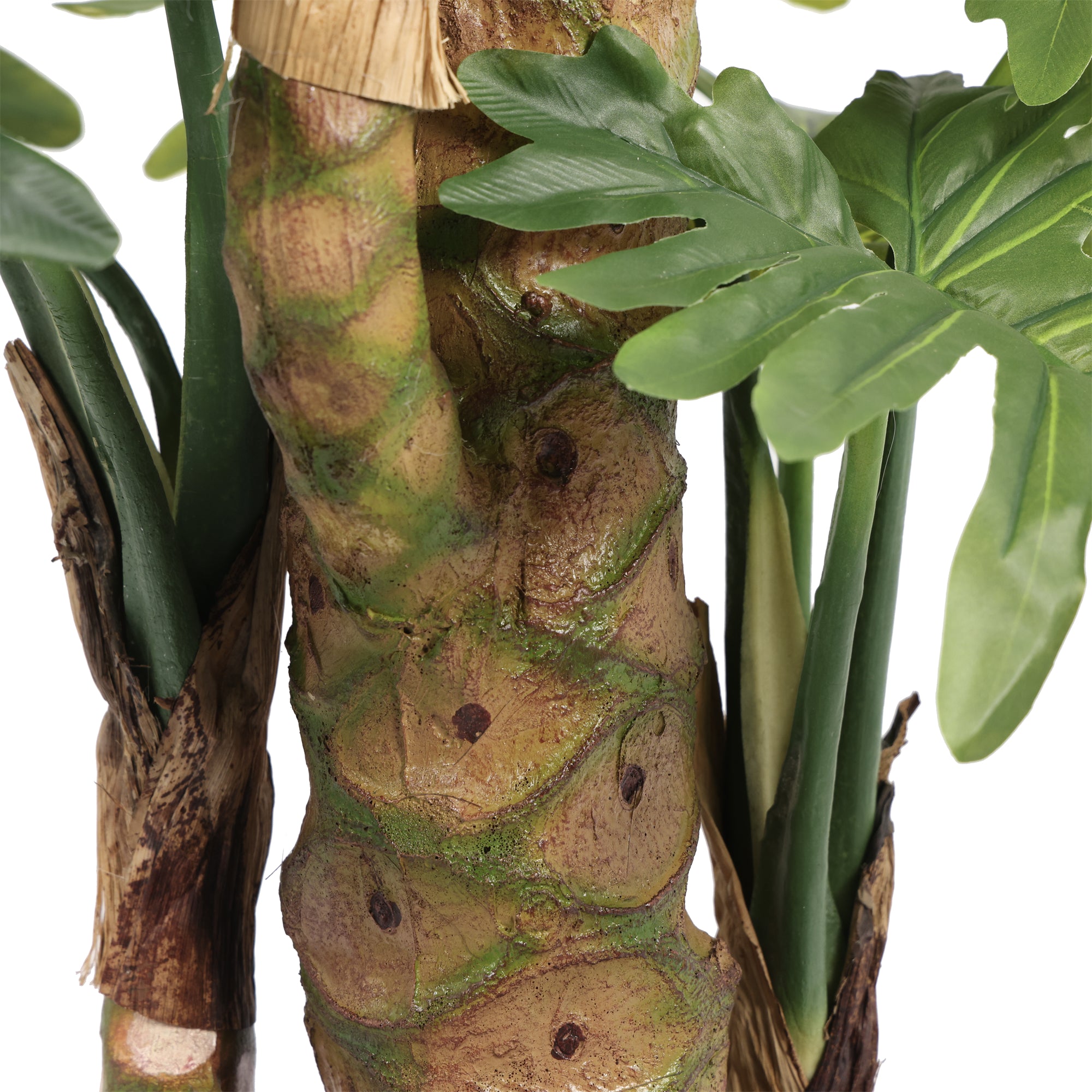 The Maison Philodendron Tree