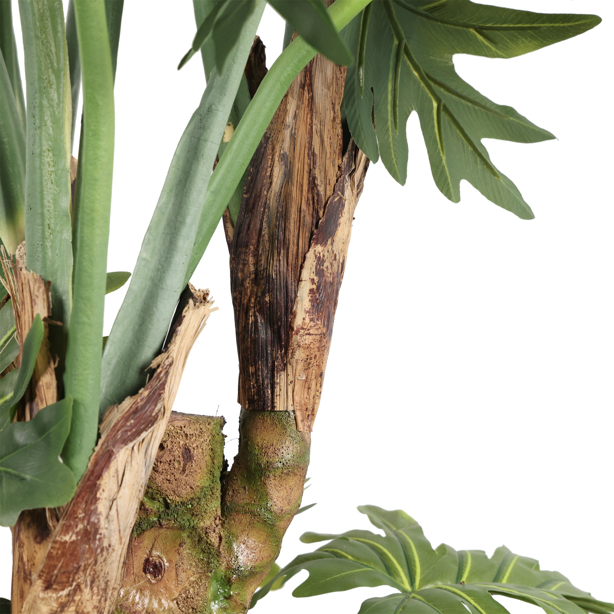 The Maison Philodendron Tree
