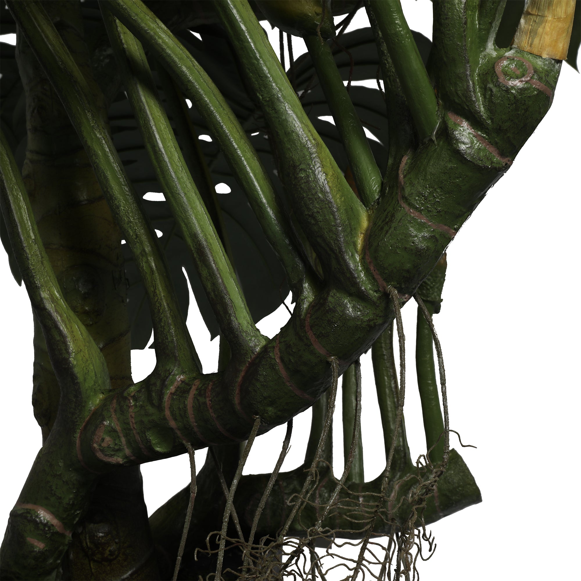 The Verdant Monstera Tree